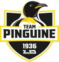 Partner Team Pinguine